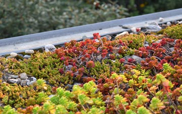 the cost of Grindlow green roof installation