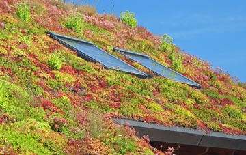 Grindlow living roof systems