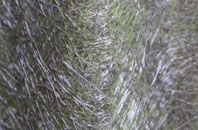 Grindlow fibreglass roof work